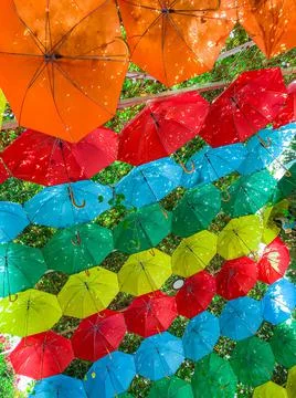 Umbrellas at The Miracle Garden Stock Photos