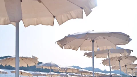 Umbrellas in Rows Swaying Gracefully Under the Coastal Wind Stock Footage 303443297