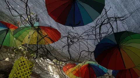 Umbrellas suspended in the air Vidéo 128307213