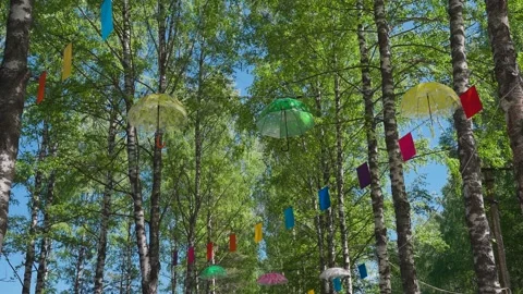 Umbrellas of various colors are hung from the trees Stock Footage 348007828