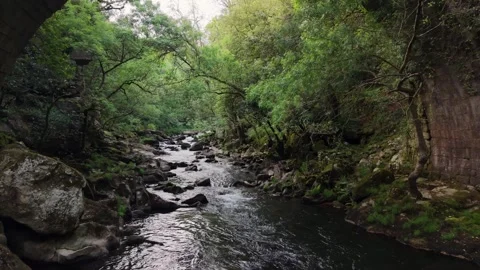 Umia River With The Ancient Arched Bridge Of Segade Stock-Footage 335000630