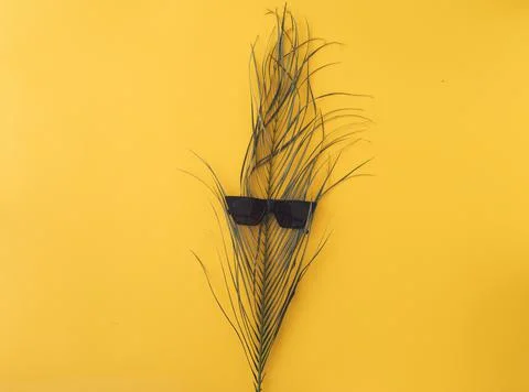 Ummer background with straw hat and bag and palm leaves Stock Photos