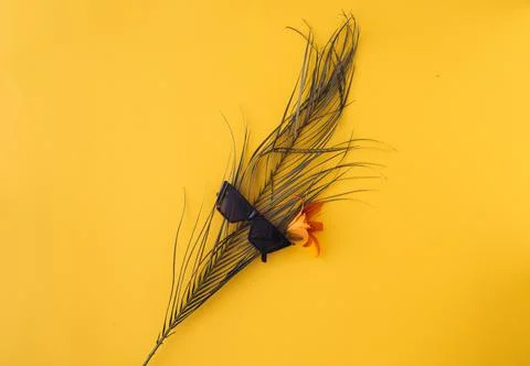 Ummer background with straw hat and bag and palm leaves Stock Photos