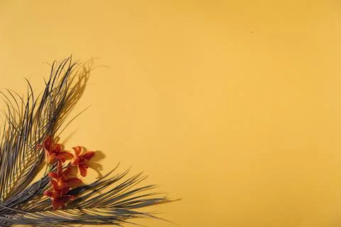 Ummer background with straw hat and bag and palm leaves Stock Photos