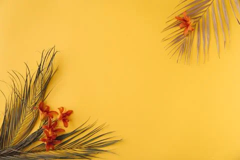 Ummer background with straw hat and bag and palm leaves Stock Photos