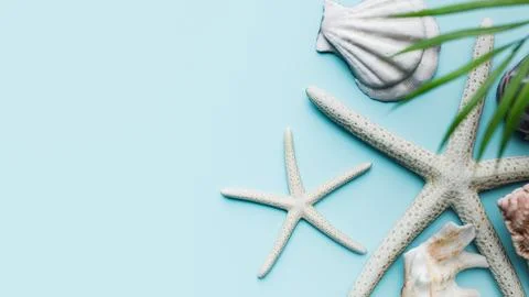 Ummer vacation concept with starfish and shells. Copy space. 3d rendering Ilustração Stock