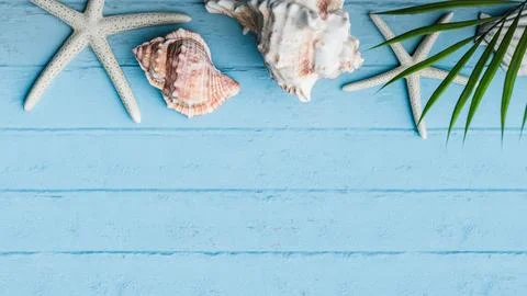 Ummer vacation concept with starfish and shells. Copy space. 3d rendering Ilustração Stock