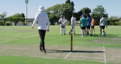 Umpire removing bail to end match, diverse male cricketers shaking hands, Stock Footage 340392085