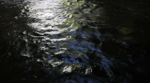 Umpqua River Stock Footage 952540