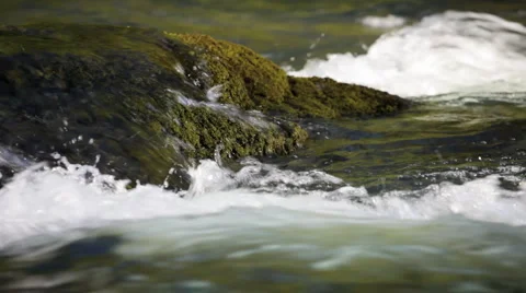 Umpqua River Stock-Footage 952611