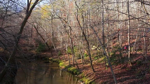 Umstead State Park Stock-Footage 77168922