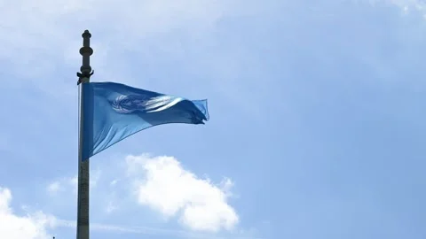 UN blue flag Stock Footage 327971186