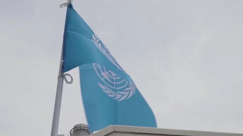 The UN flag flutters in the wind Stock Footage 217939517