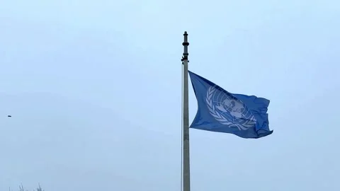 Un flag in motion in wind Stock Footage 252855692