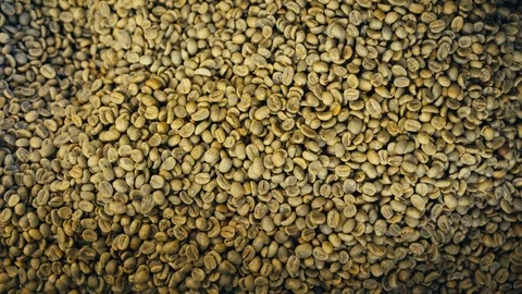 Un-roasted Coffee Beans Stock Footage 123729803