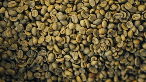Un-roasted Coffee Beans Stock Footage 123729809