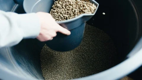 Un-roasted Coffee Beans Scooped Up Stock Footage 123729696