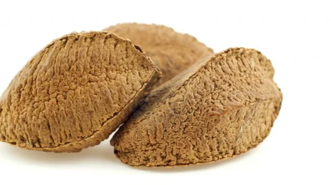 Un-shelled brazil nuts isolated on white sliding in and out of view Stock Footage 47434591