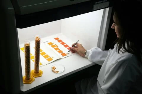  Una quimica utiliza un sistema de codigo de colores para determinar la ca... Stock Photos