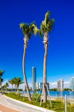Una Residences Brickell seen between two palms at Key Biscayne Stock Photos