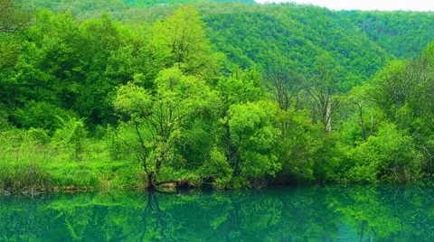 Una river landscape Stock Footage 65262023