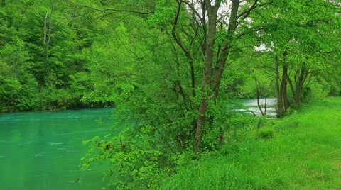 Una river nature Video stock 65262457