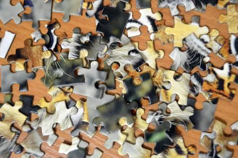 Unassembled puzzle concept idea problem game strategy jigsaw. Connect missing Stock Photos