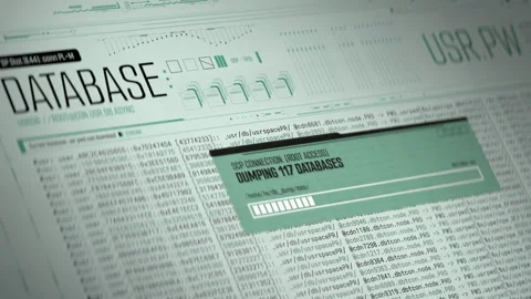 Unauthorized database access, hacker stealing private information and files Stock Footage 348164151