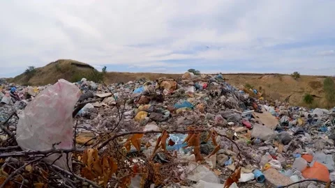 Unauthorized dump in a ravine. Slow motion. Stock-Footage 88341050