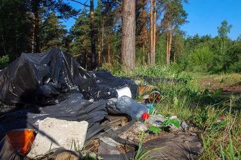 Unauthorized garbage dump in the forest, pile of household waste Foto stock