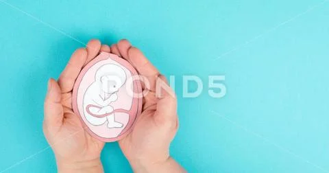 Unborn baby in the uterus, drawing of a fetus in the last trimester of ...