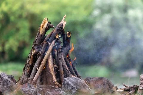 Unburned campfire with tree branches in forest, copy space. Foto stock