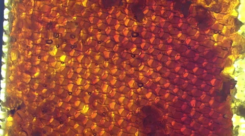 Uncapped rays with back light 스톡 동영상 53427060