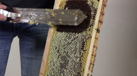 Uncapping frames Stock Footage 53424185