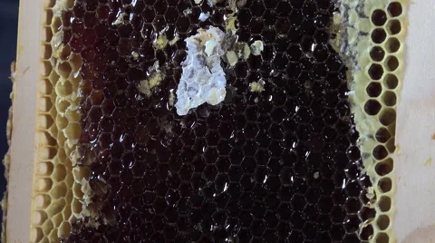 Uncapping frames Stock Footage 53424684