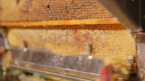 Uncapping honeycomb Stock Footage 111993169