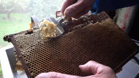 Uncapping Honeycomb Frame2 Stock Footage 340121010