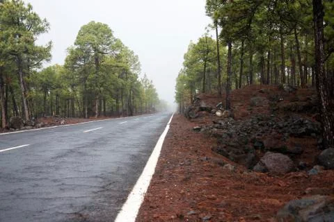 Uncertain future Stock Photos