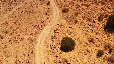 Uncharted path Stock Footage 106022286