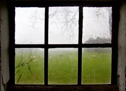 Unclear view through stable window with bars on meadow on rainy day Stock Photos