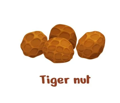 Uncommon tiger nuts or chufa, nutrient-rich tubers Stock Illustration