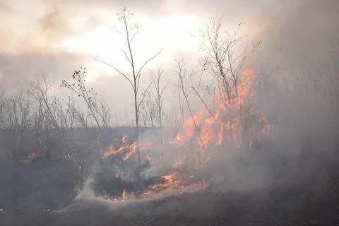 Uncontrolled fire in a field Stock Photos