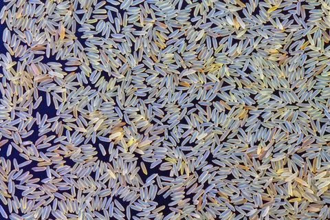 Uncooked Basmati Rice Flat Lay, Healthy Food Texture Background Stock Photos
