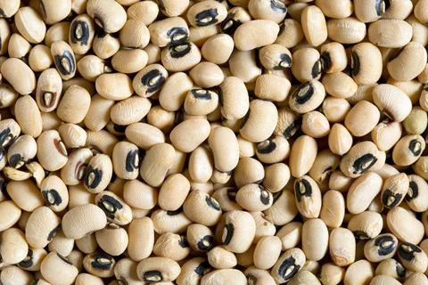 Uncooked beans pattern of white uncooked beans Copyright: xZoonar.com/Jiri... Stock Photos