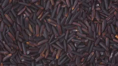 Uncooked Black Rice Close-Up View and Texture Top-down perspective Stock Footage 288704587