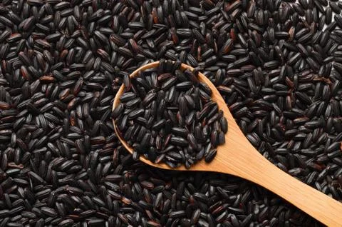 Uncooked Black Rice Stock Photos