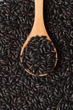 Uncooked Black Rice Stock Photos