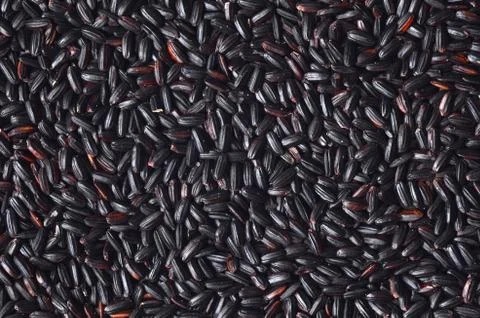 Uncooked Black Rice Foto stock