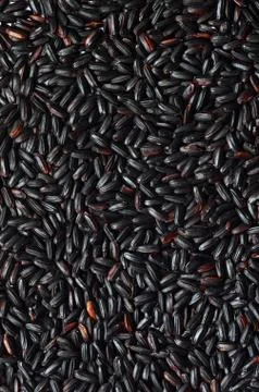 Uncooked Black Rice Stock Photos