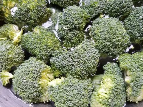 Uncooked Broccoli Heads Stock Photos